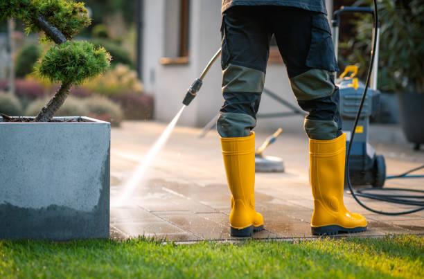 Best Power Washing Near Me  in Radisson, NY